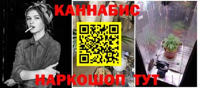 дмт Гатчина