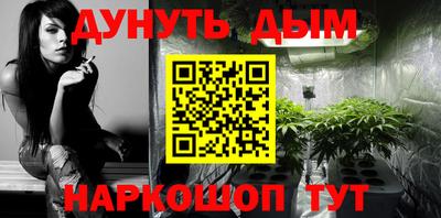 дмт Гатчина