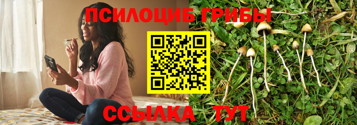 Галлюциногенные грибы мицелий  Псилоцибиновые грибы Magic Shrooms  Новороссийск  Вход с VPN 
